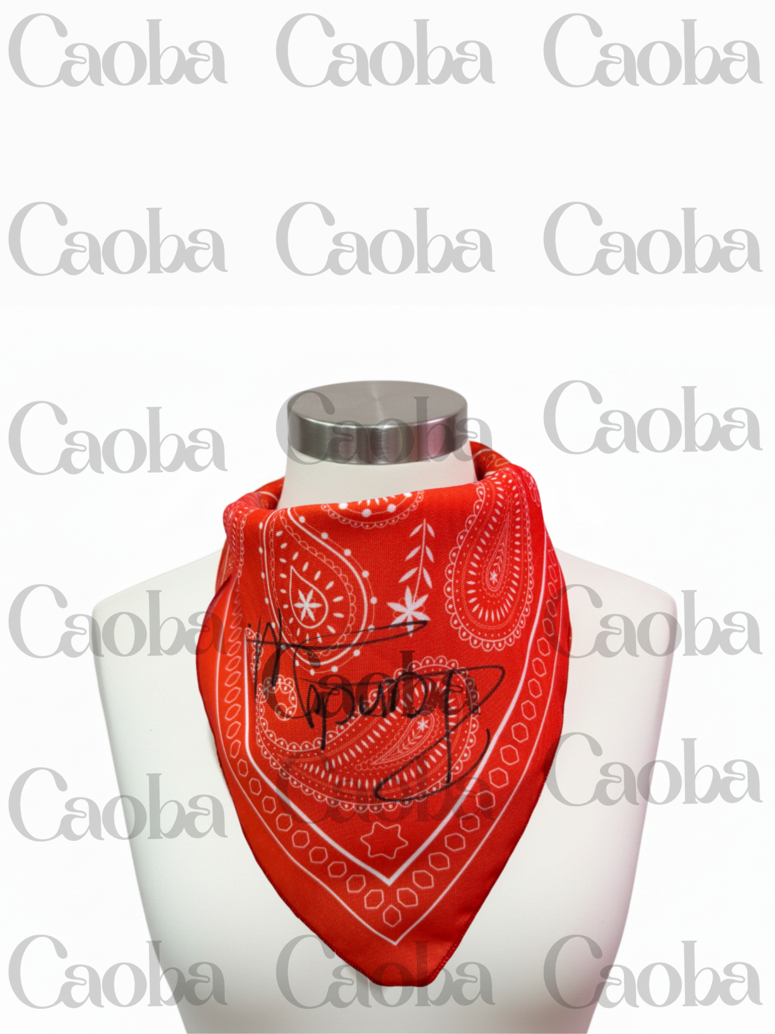 IMG_7188 Randy – Paliacate Coleccionable