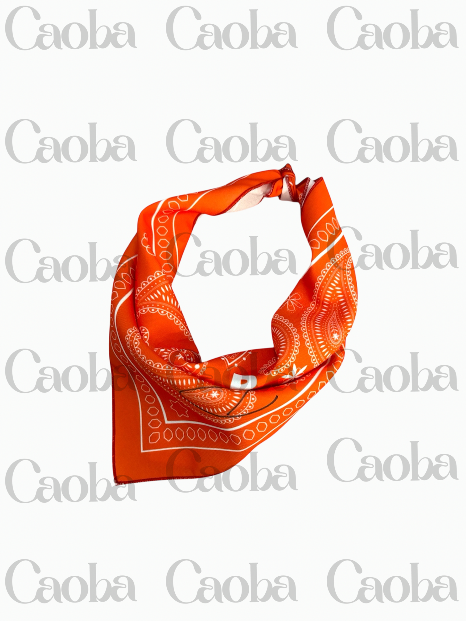 IMG_7190 Randy – Paliacate Coleccionable