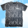 playera-randy-mesmos-6 Playera Randy acid wash, vista frente